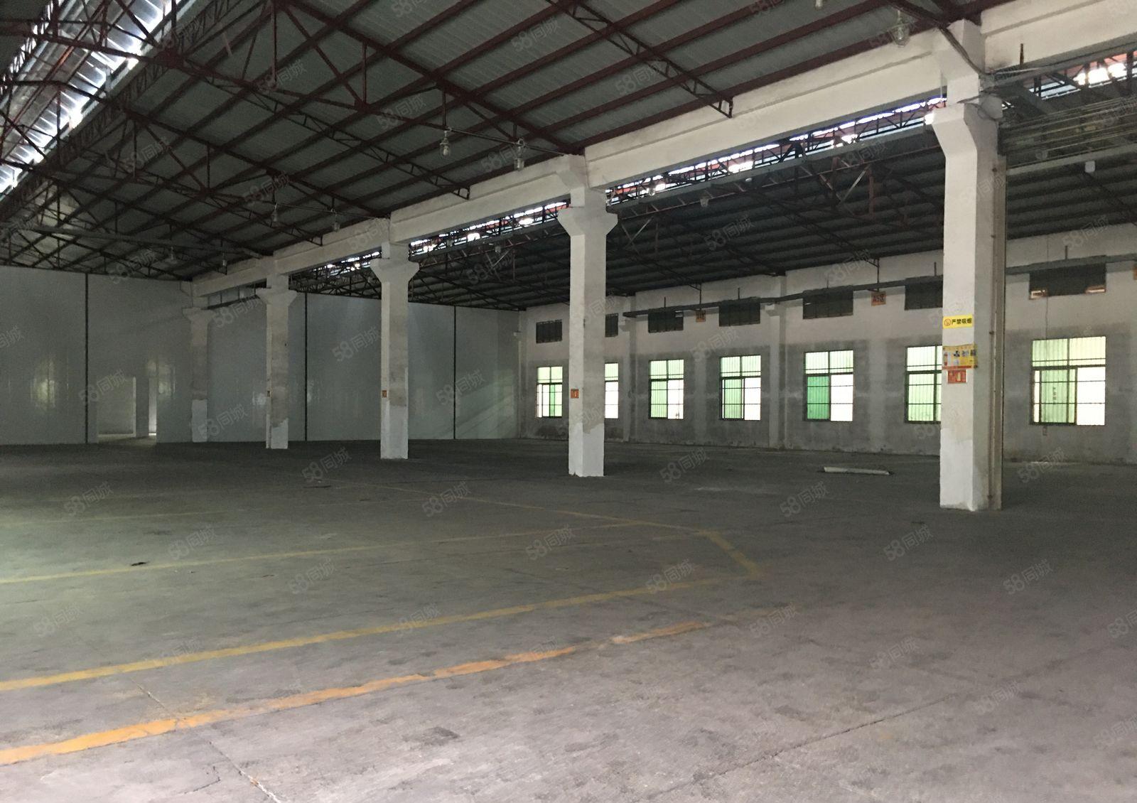 惠城水口中心工业区独院3900平原房东钢构仓库厂房出租可分租