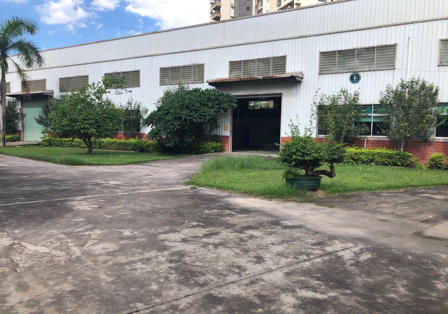 水口钢构厂房2600平方，高8米，可分租1300平方米