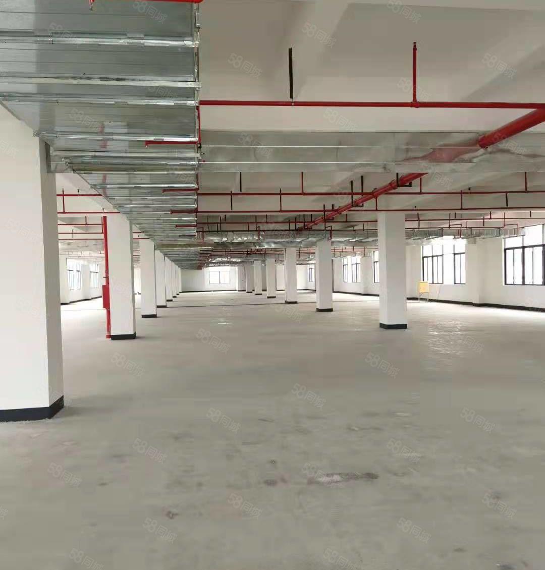 马安镇新乐工业区全新独院厂房3层共5250平出租空地大可分。