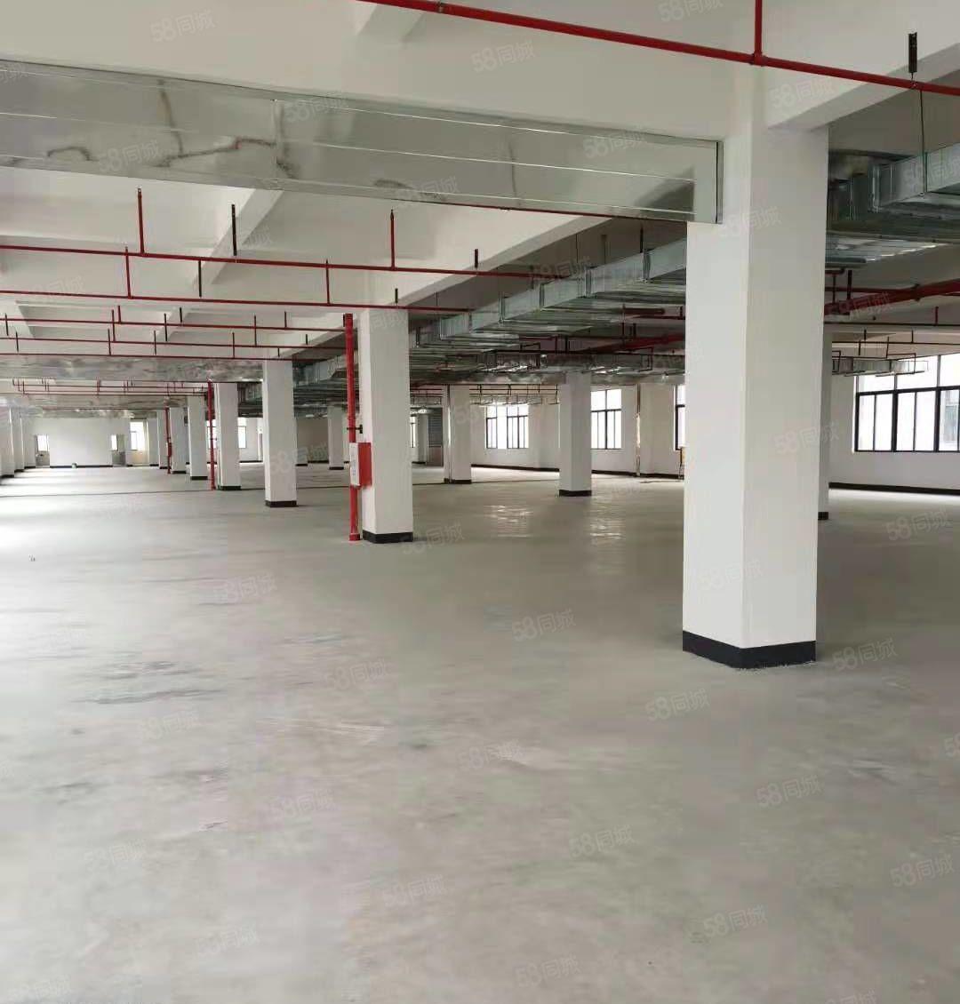 马安镇新乐工业区全新独院厂房3层共5250平出租空地大可分。