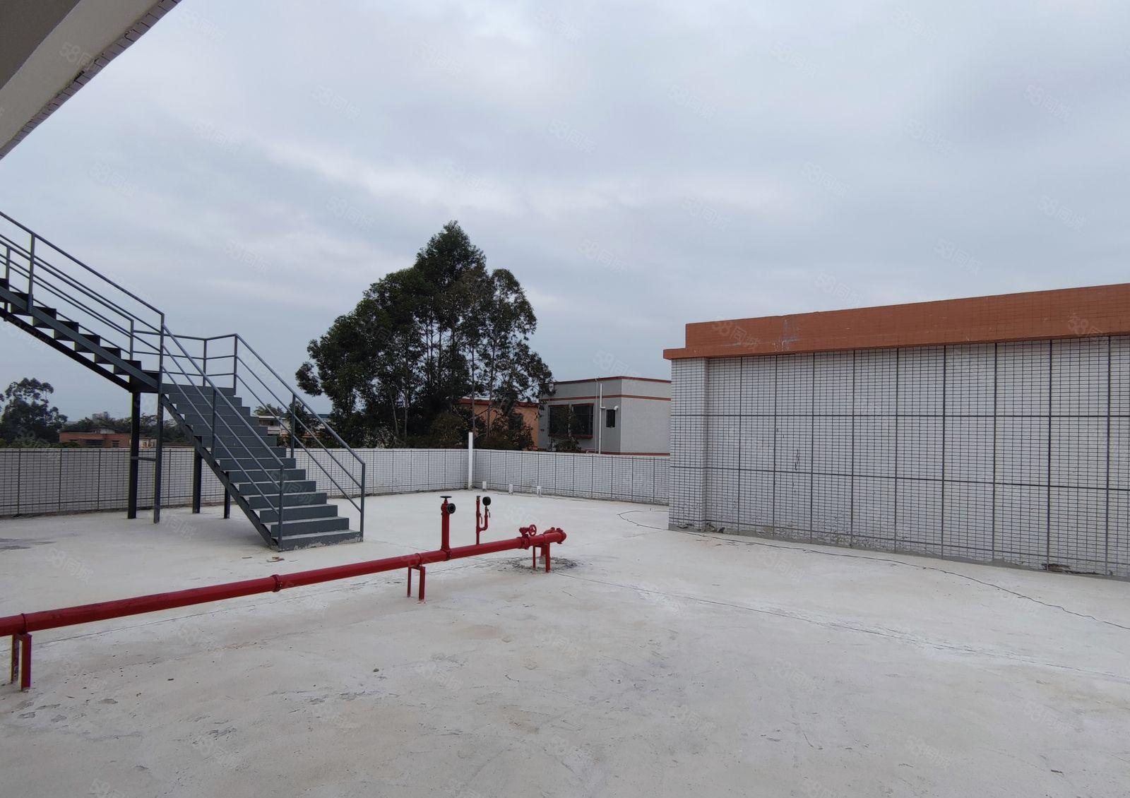 水口镇全新独门独院厂房出租3层2940平宿舍饭堂787平