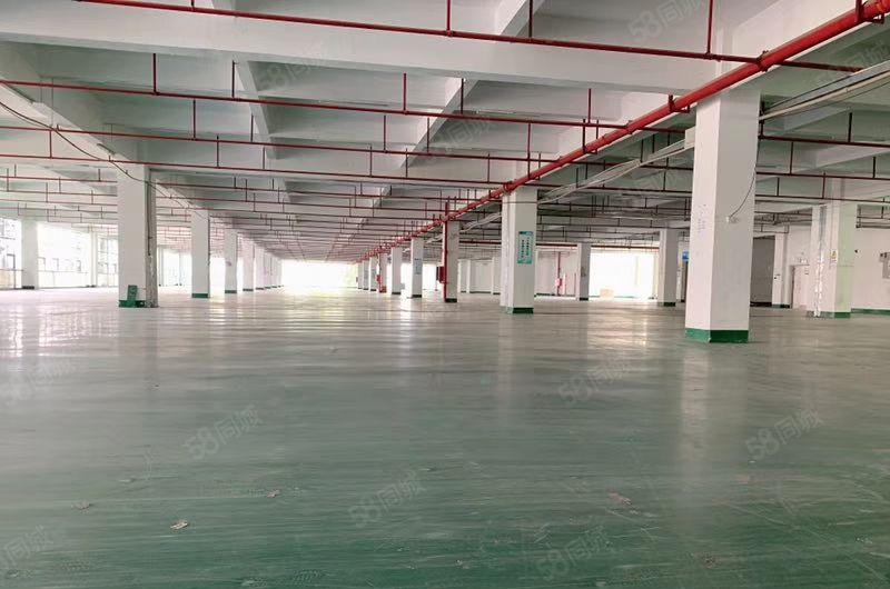 小金口青塘3楼1100平方厂房出租