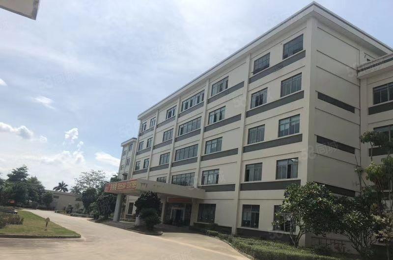 马安标准一楼2600平方，可以分租