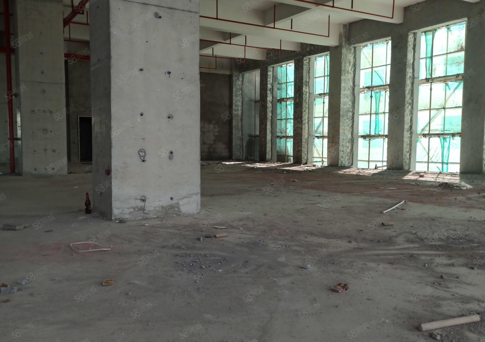 高新区三栋数码园1楼高度6.5米 2楼高度5.5米。可分层租