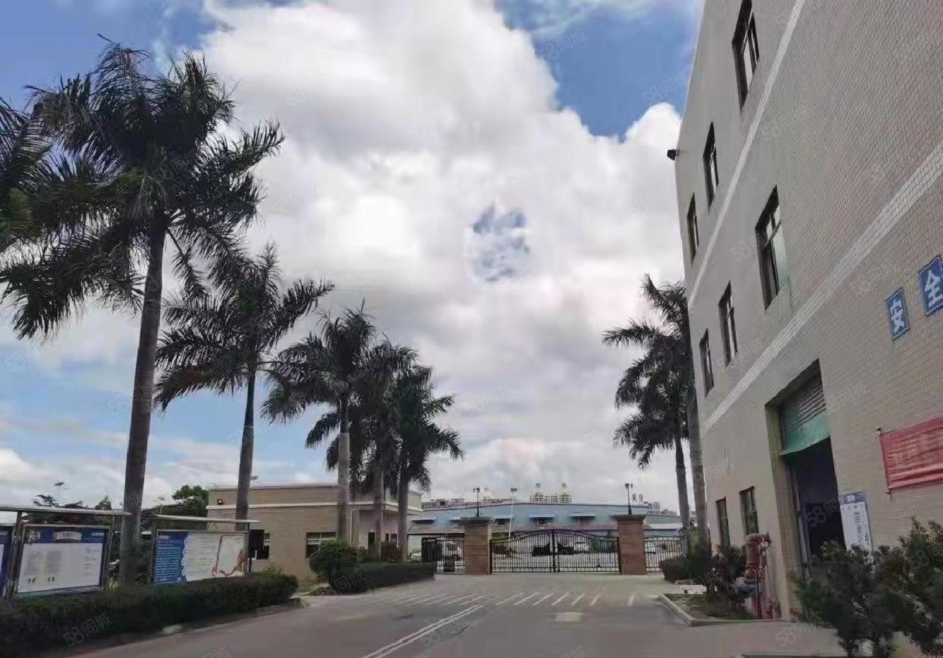 惠州小金口独门独院红本厂房9800平出租空地3500平方