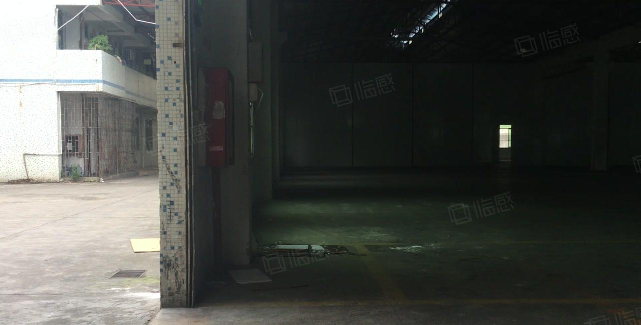 惠城水口中心工业区独院3900平原房东钢构仓库厂房出租可分租