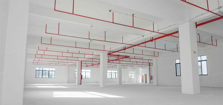 水口标准红本厂房9.9元全包！各种面积均有