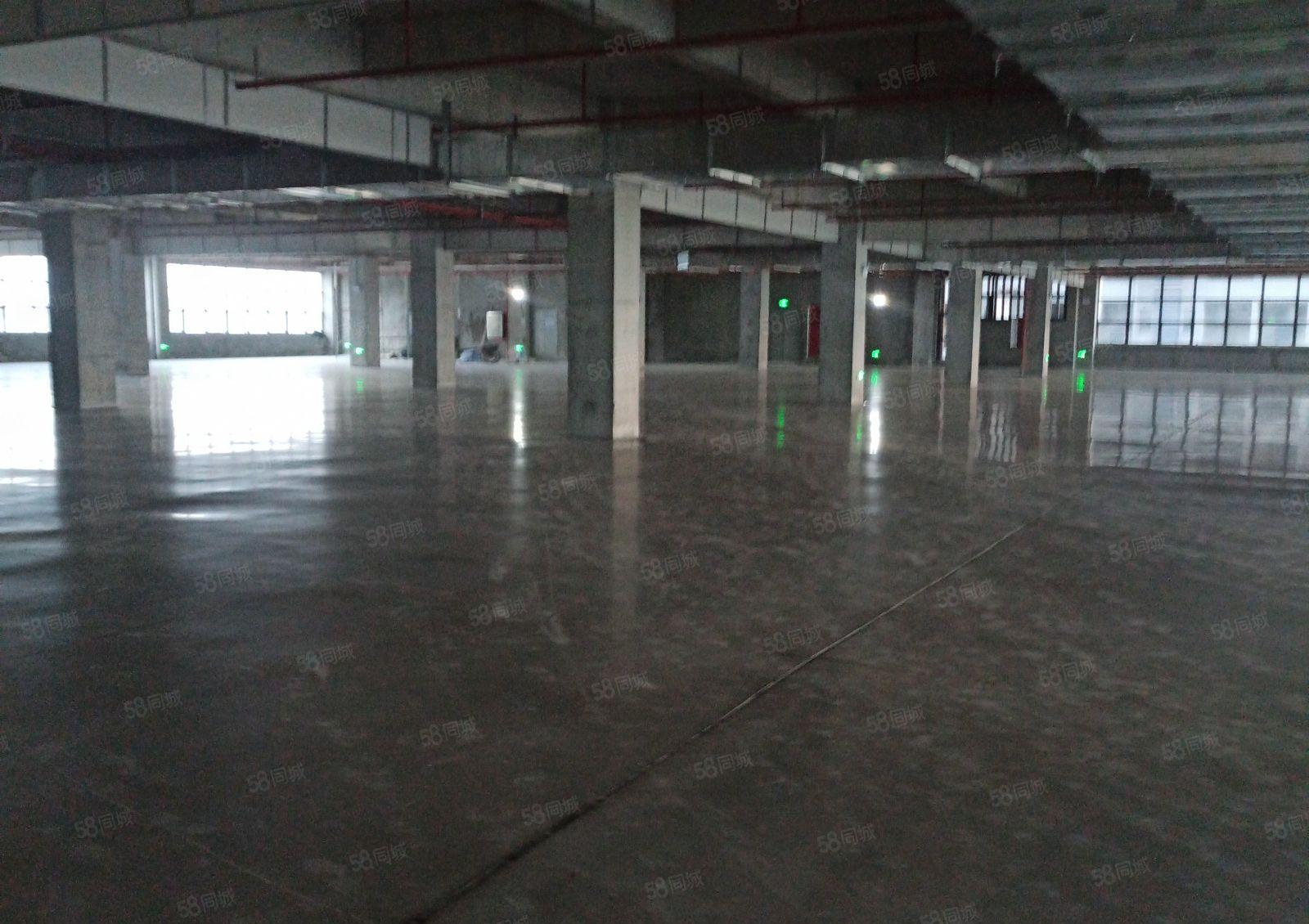 小金口单层6600平方4台货梯带货台可分租一半可以做好地坪漆