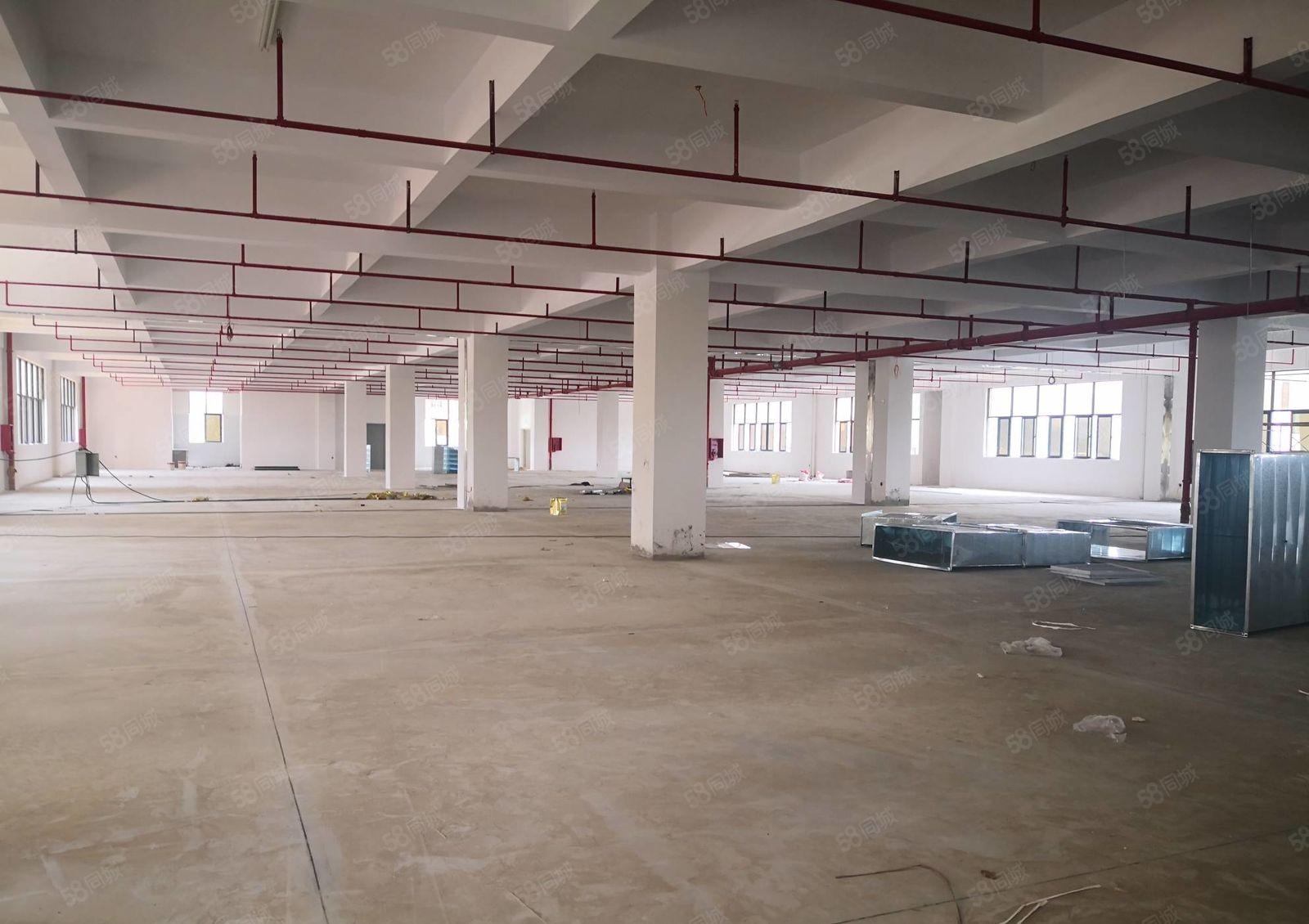 惠城区汝湖附近独院原房东全新厂房12000平方出租