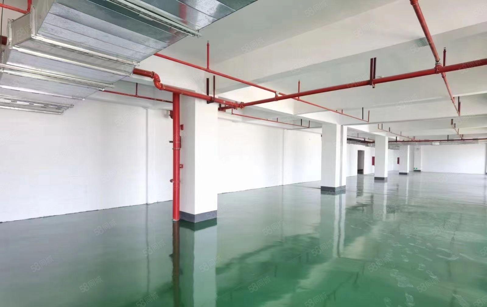 马安工业区7楼全新厂房出租面积780平方米现成装修3吨货梯