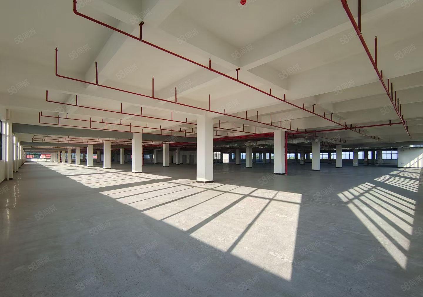 马安平潭镇全新独院约33300平厂房招租可分租