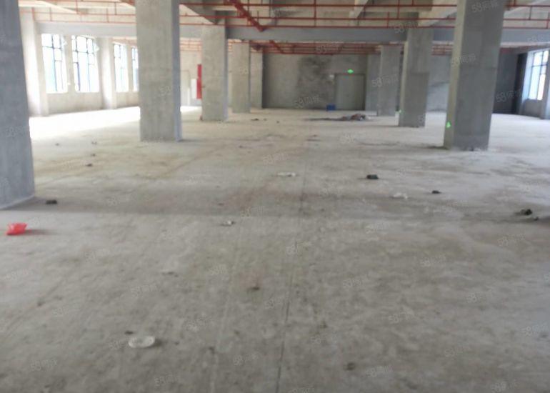 靓水口全新工业园厂房2万平米招租