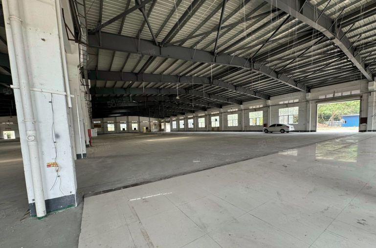 独门独院厂房出租700至25000平方单层钢构出租