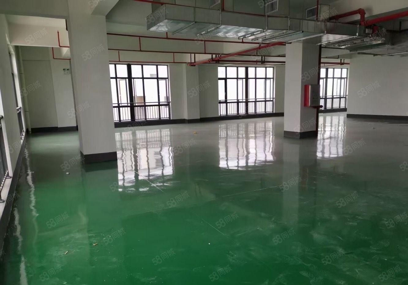 惠城区水口东江35万原房东厂房招租 园区形象好