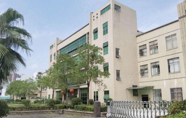 惠城区小金口原房东独门独院5000平厂房出租