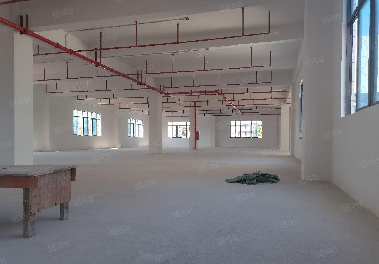 惠城水口龙湖大道旁全新独门独院3800平厂房出租 可分层出租