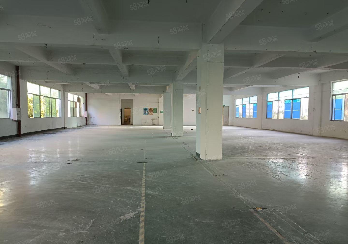 水口花园式红本楼上厂房招租6800平米可分租