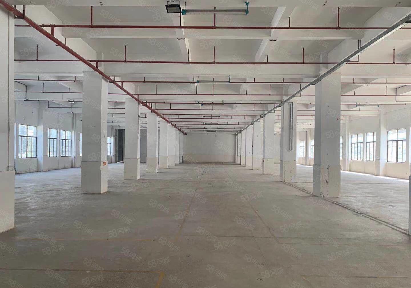 三栋镇新出花园式独院厂房