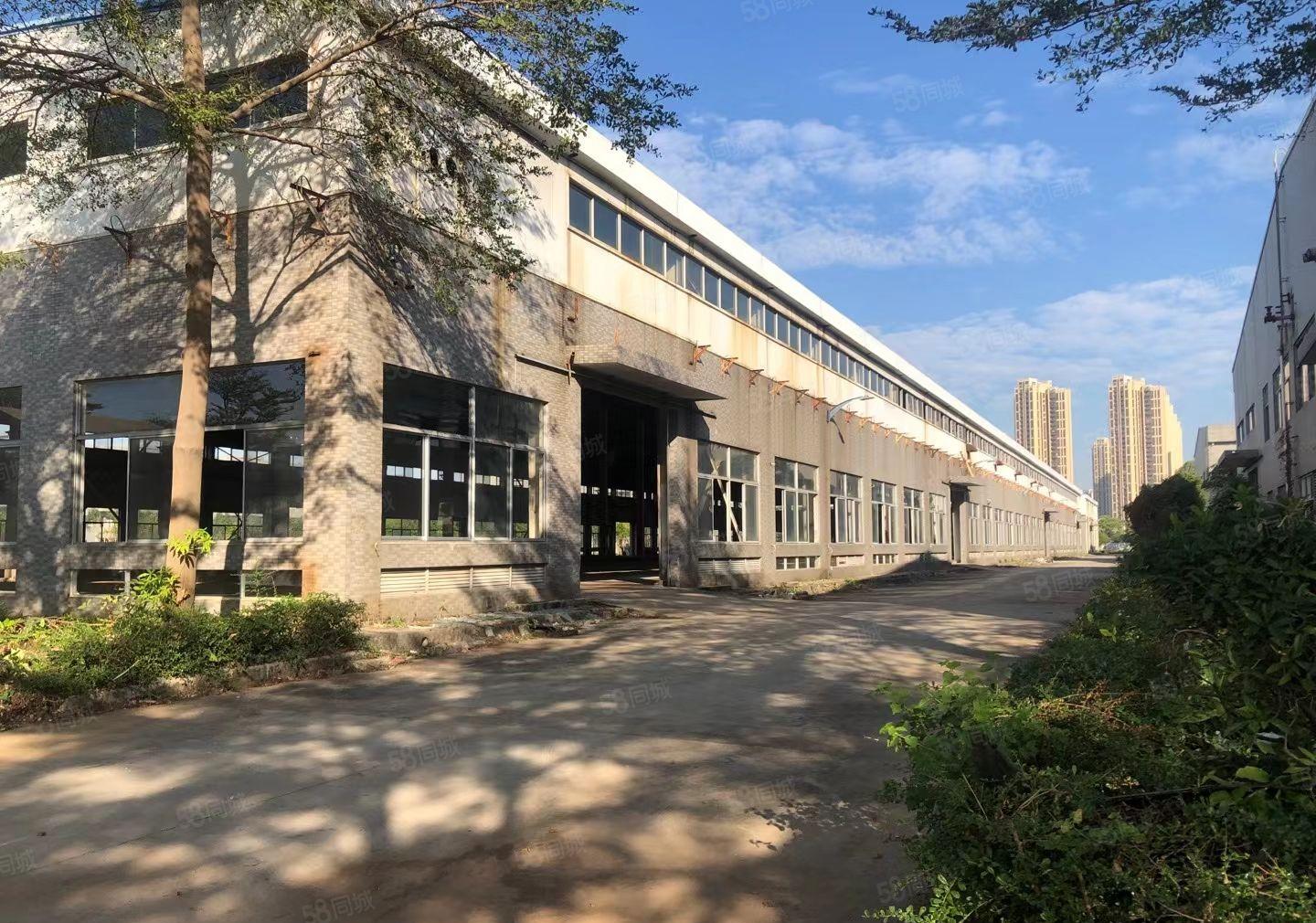 马安新乐 大量全新厂房出租 单层滴水13米 高钢构 价格面议