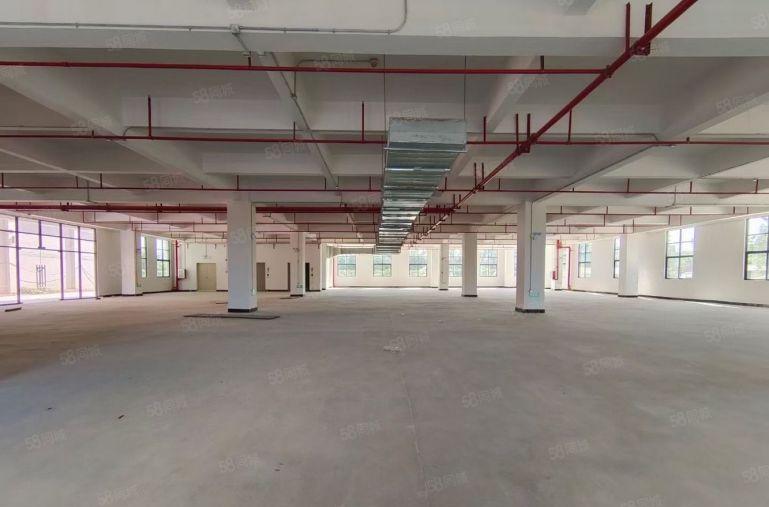 水口龙湖大道边全新工业园一楼2500平方16元招租，证件齐全