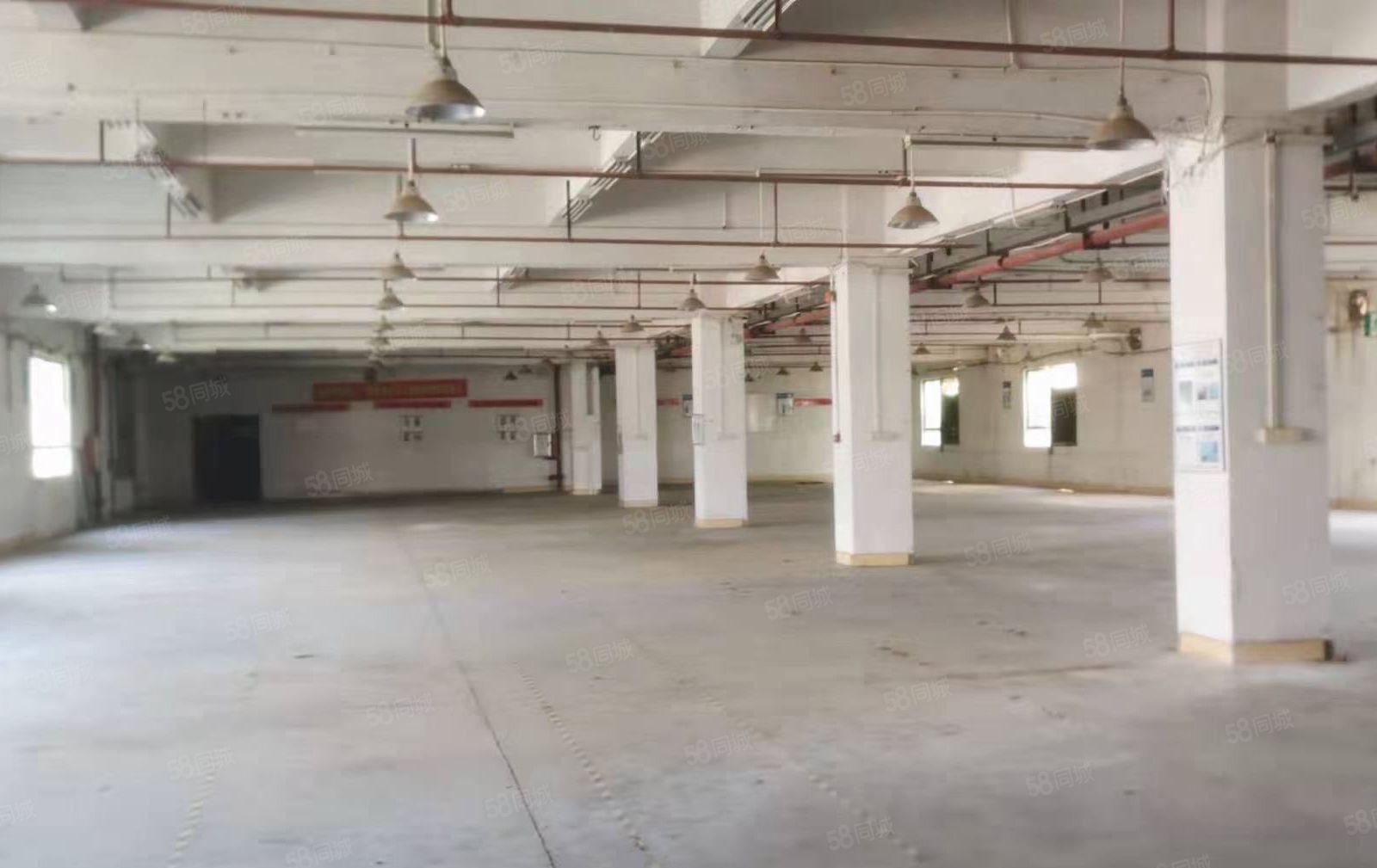 好招工马安新乐厂房正式启用，位置空地超大10元起租