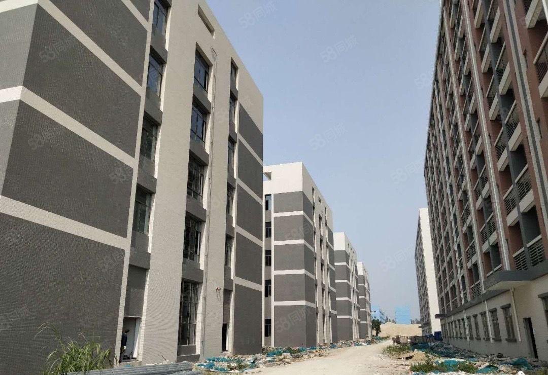 惠州原房东新建标准厂房仓库18万平方出租可分租