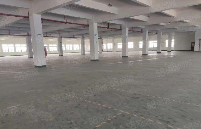 惠城小金口标准厂房2800方出租 可分租