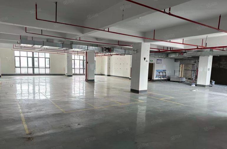 水口东江市场原房东厂房单层1200平米 8元起租