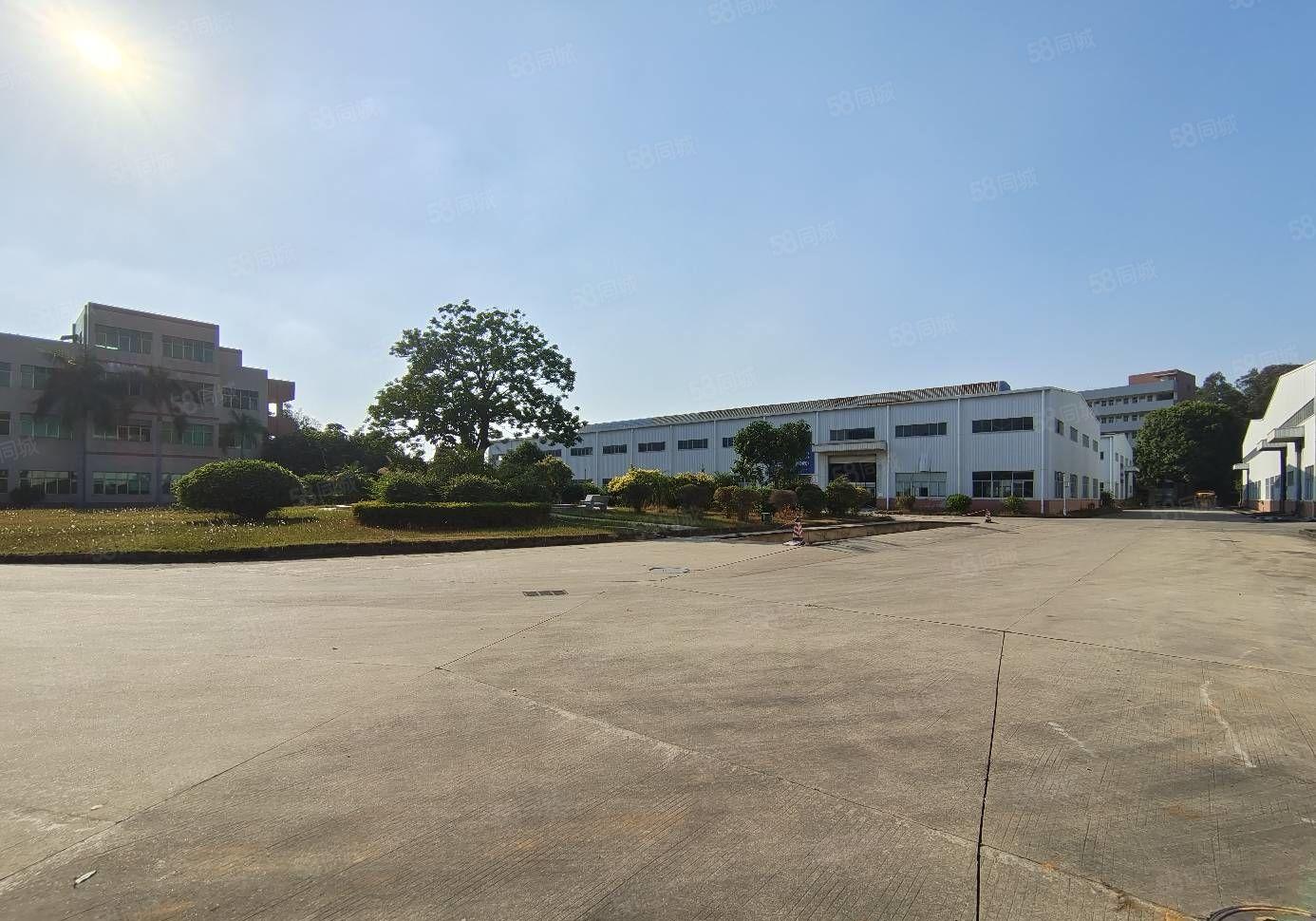 水口花园式独院钢构厂房三栋 每栋2800平米证件齐全可分租