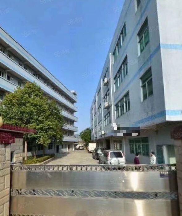 独门独院5000平方厂房出租 原房东价格实惠