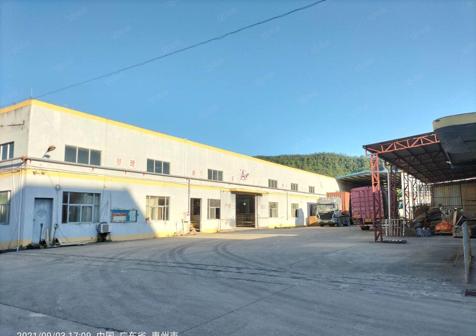 惠城标准钢结构厂房8千平方招租（低价招商）