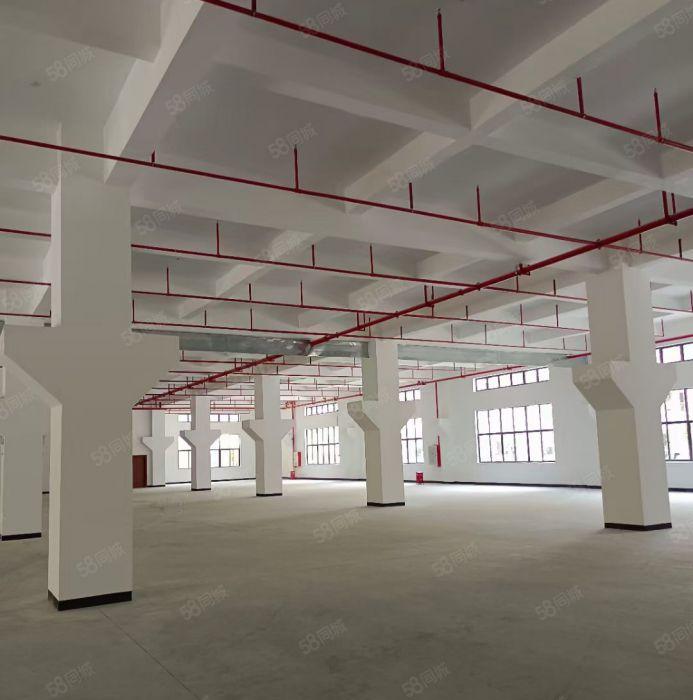 靓水口新出全新7.5万平米厂房招租（可分租）