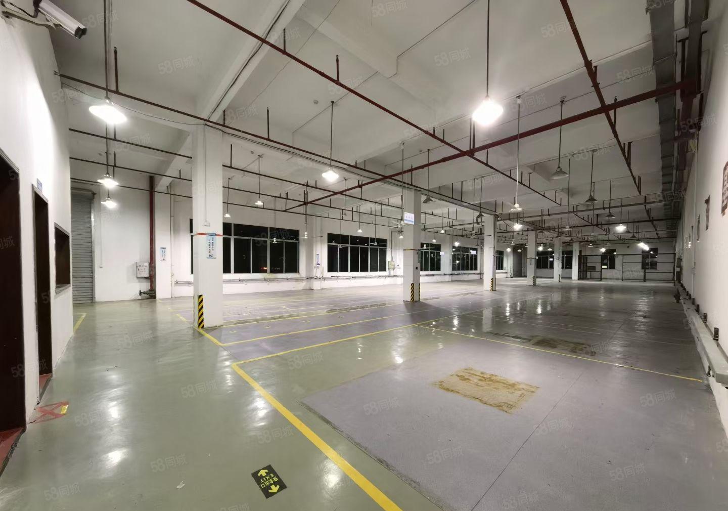 三栋镇数码园现成装修1600平方标准厂房出租