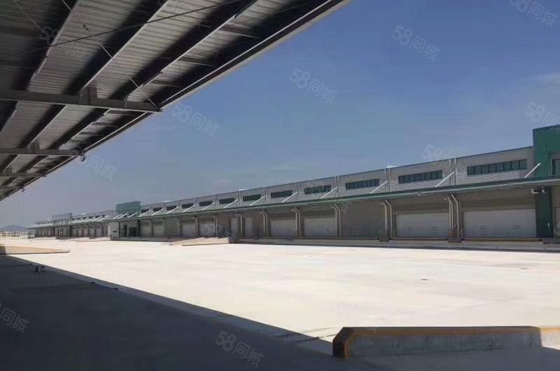 惠城区滴水10米，单一层钢结构厂房仓库出租60000平方