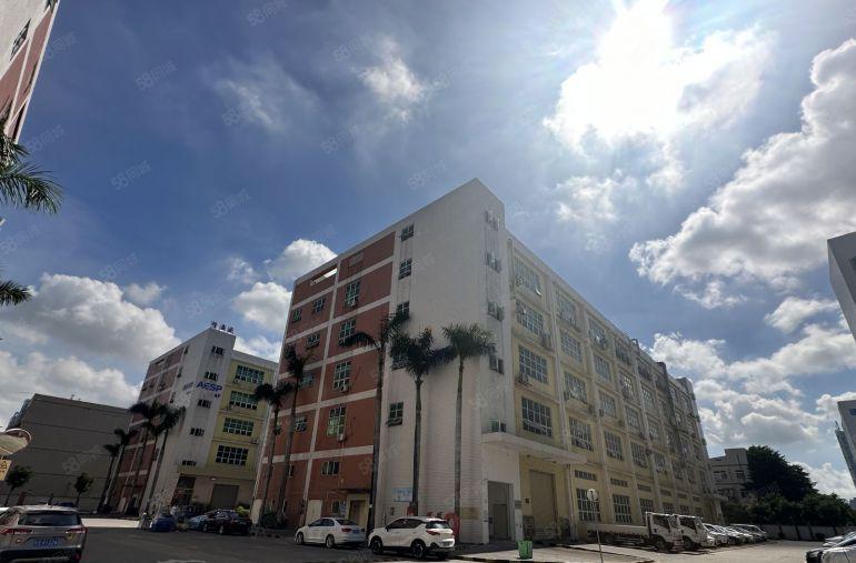 三栋原房东红本厂房实际面积，出租花园式独院厂房8元起租