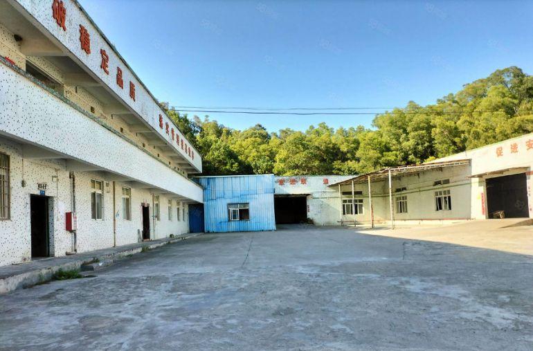 惠城区马安新乐独院钢构厂房招租（500一4500平方）