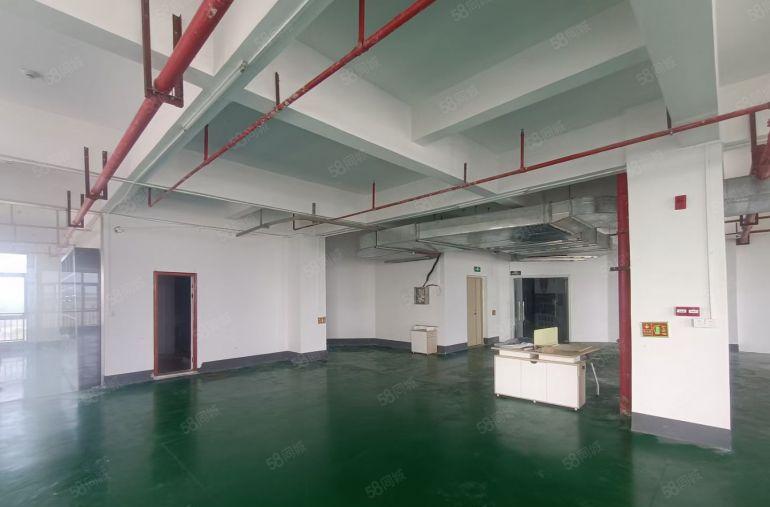 马安工业园430平,530平现成装修水电厂房仓库出租