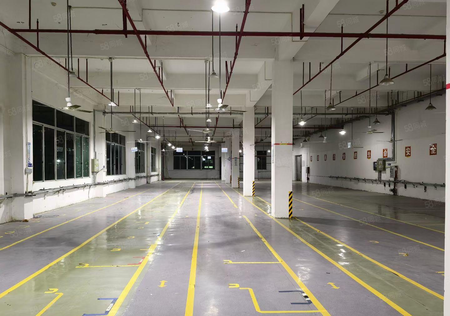 三栋镇数码园现成装修1600平方标准厂房出租