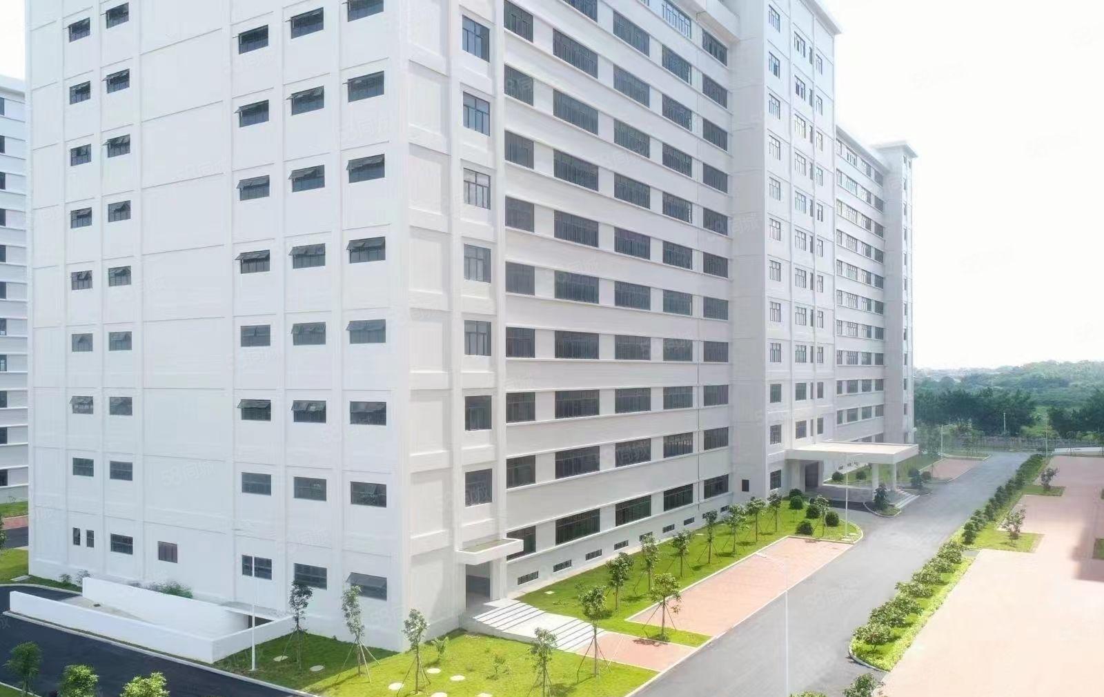 水口东江工业区全新工业厂房1500平方  10元出租