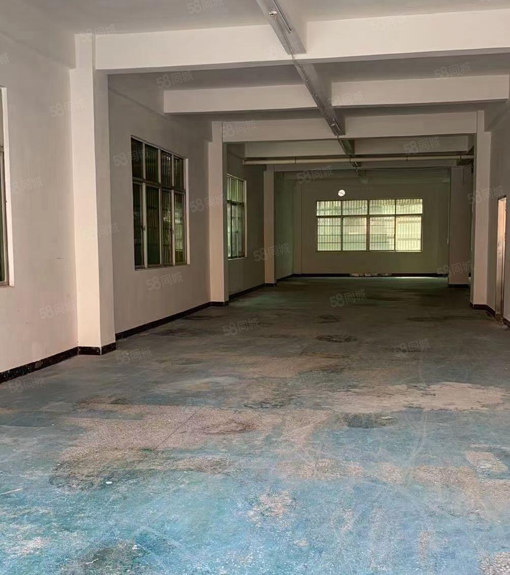 惠城区小金口独门独院一楼1000平方厂房