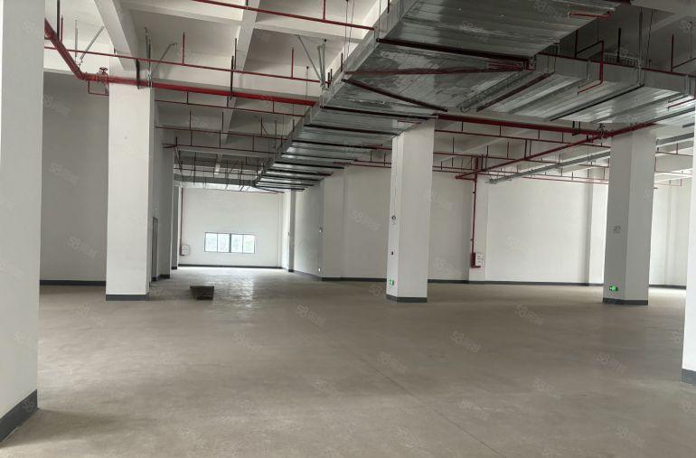 原房东！9元租马安全新厂房1000平，周边配套完善易招工