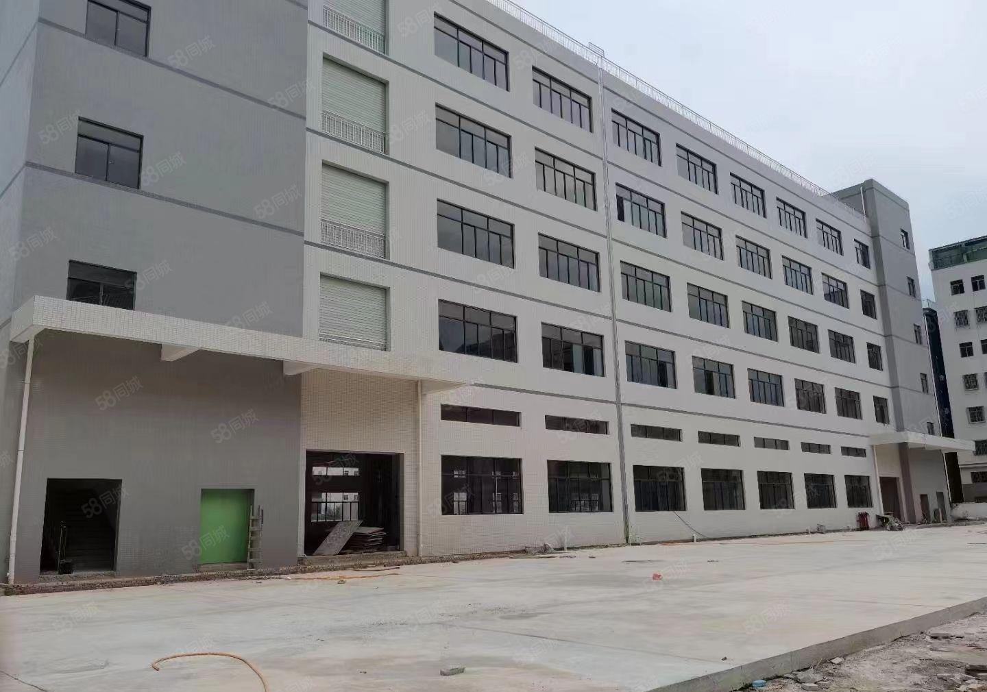 马安镇 全新一二楼单层2600平红本重工业厂房出租