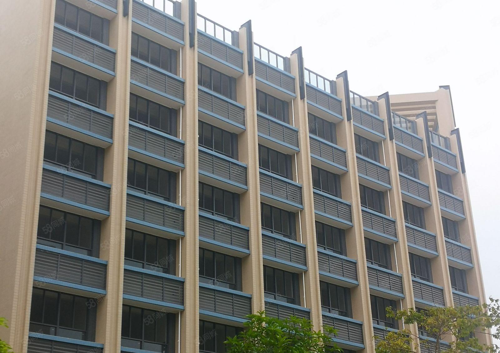 马安镇   全新独院厂房17000平米出租，位置佳！！