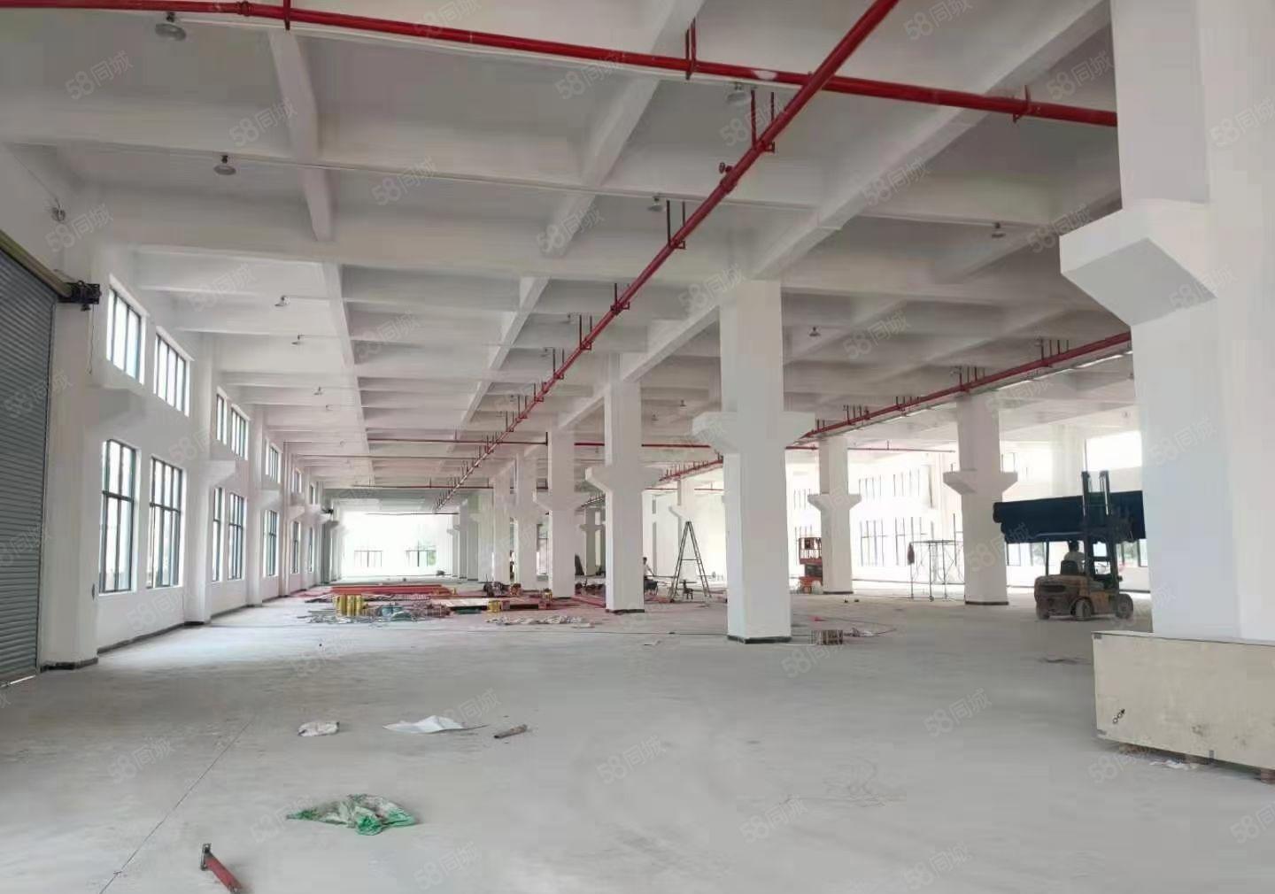 水口独院钢构厂房20000平方任意分租