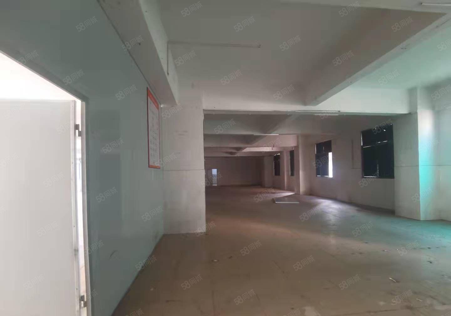 惠州市小金口九龙村独门独院2500平厂房出租