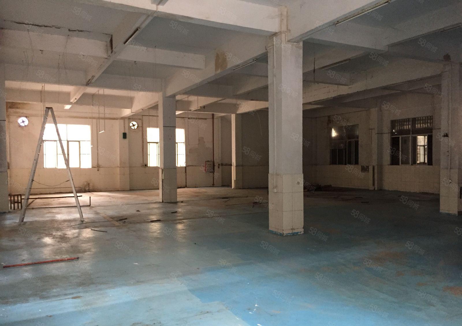 惠州火车站附近小独门独院1300平方 厂房出租