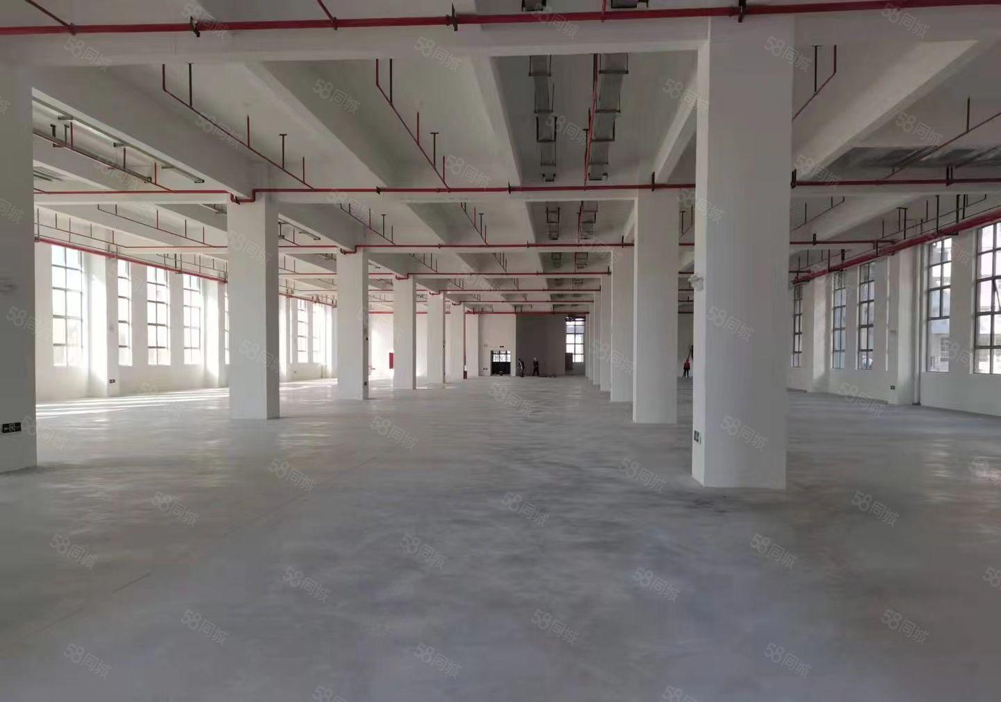 平潭工业园区8元厂房招租