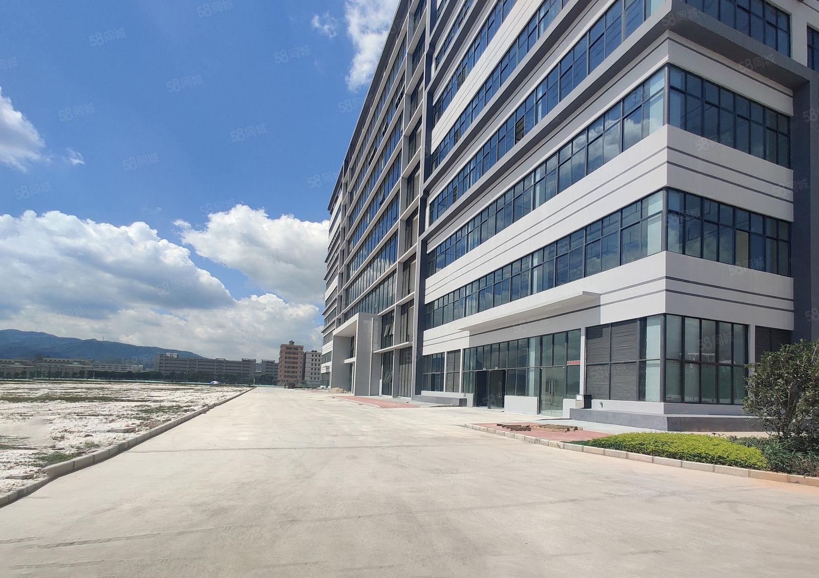 8元200平起水口江北原房东独院2万平无公摊厂房一楼仓库出租