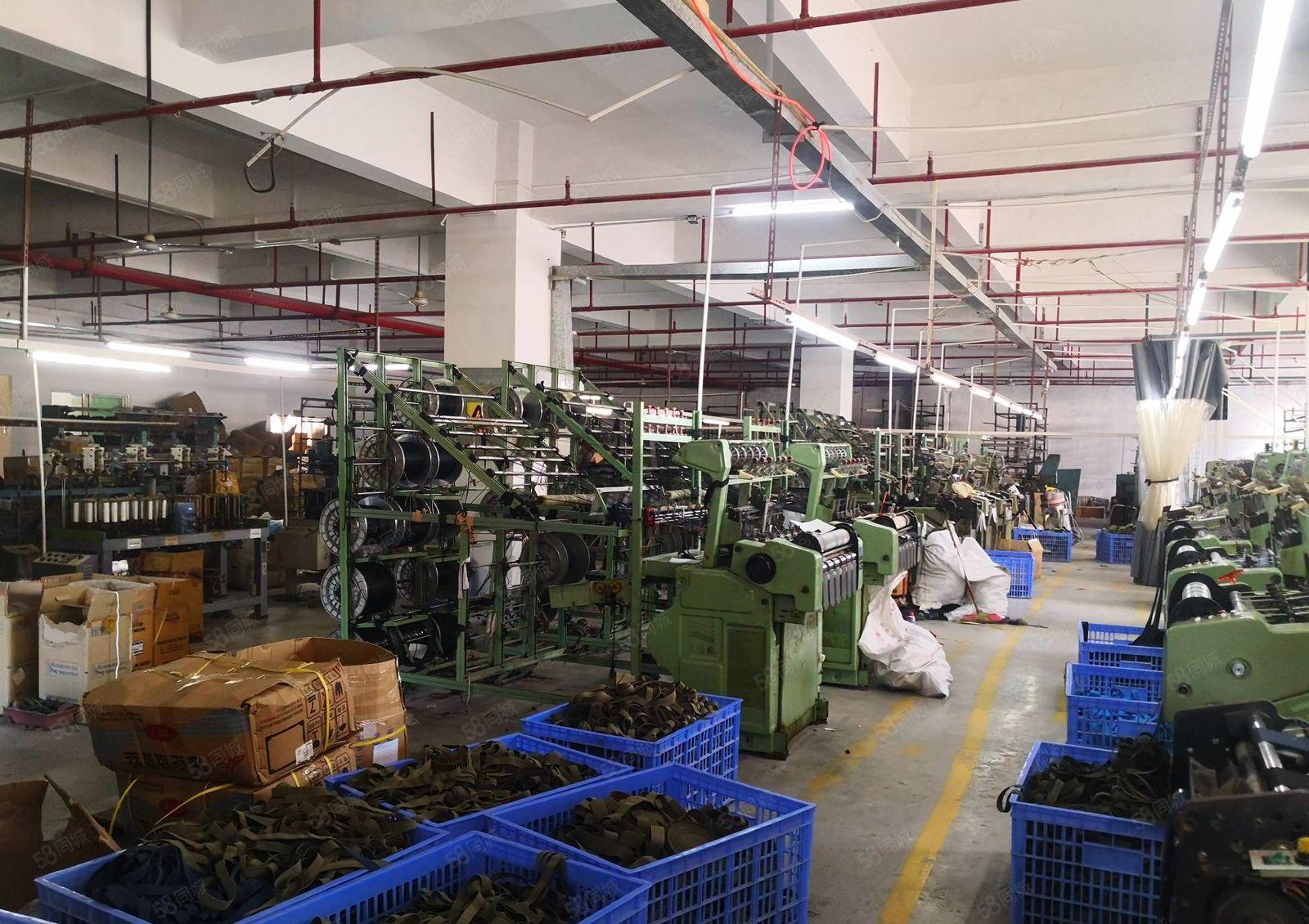 马安汉水金城 标准厂房1500平米2楼出租  带现成装修