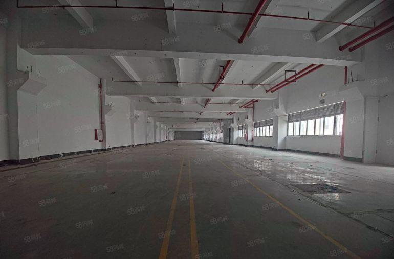 500平起租，水口一楼1500平厂房出租 精装办公室仓库出租